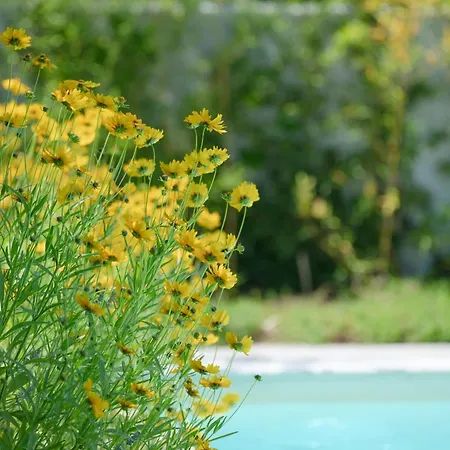 Balzarini Вилла